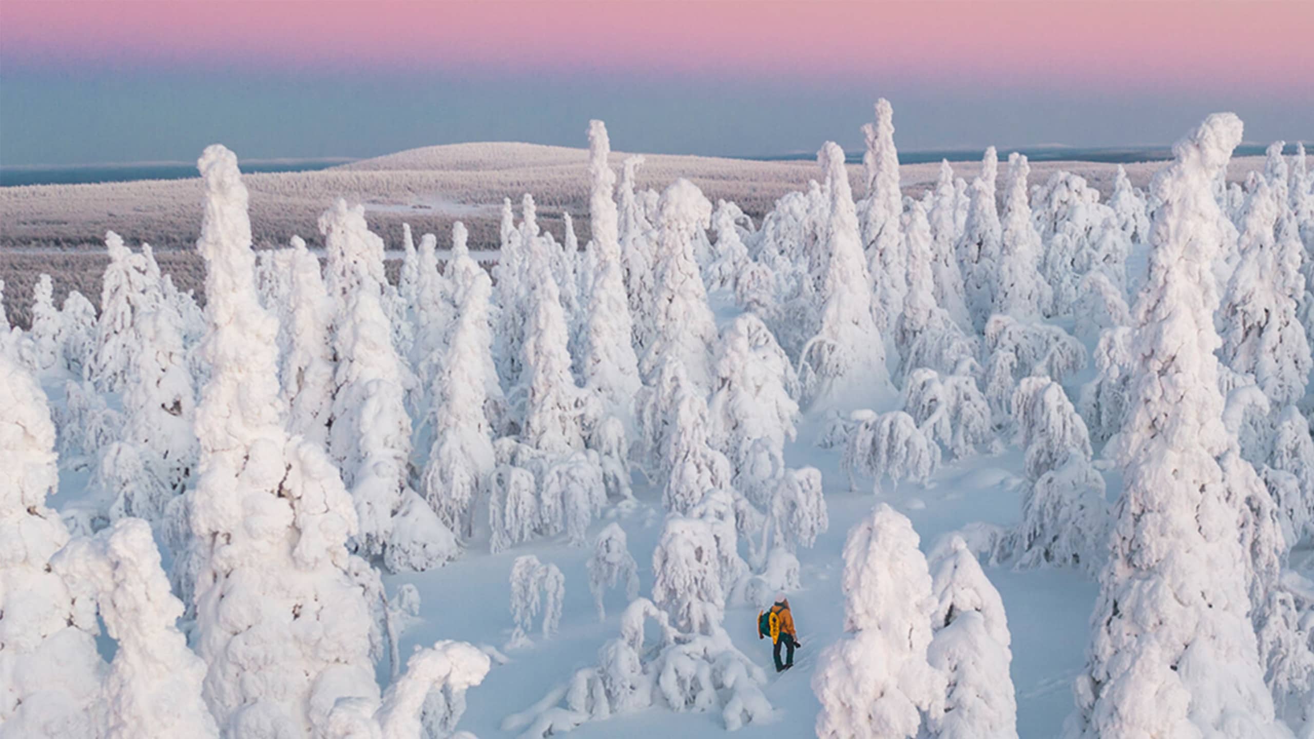 Einzigartige Natur in Salla Finnland.