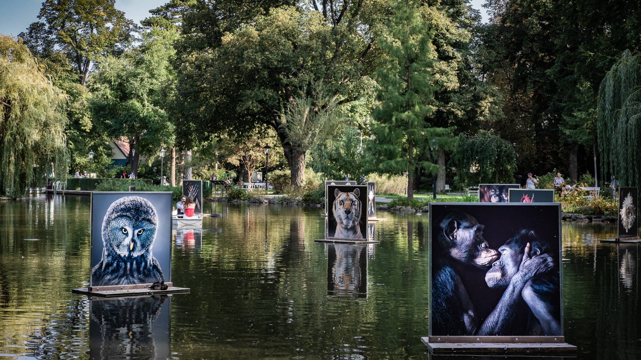 Blick auf XXL Tierfotos, die auf dem Teich im Rosengarten Baden gleiten.