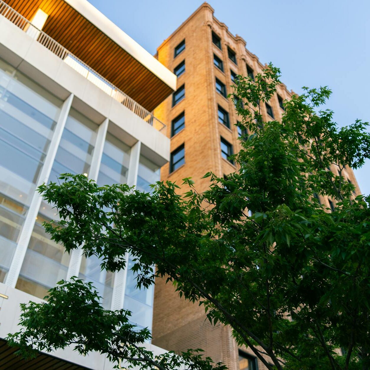 Test ob BIdunterschrift