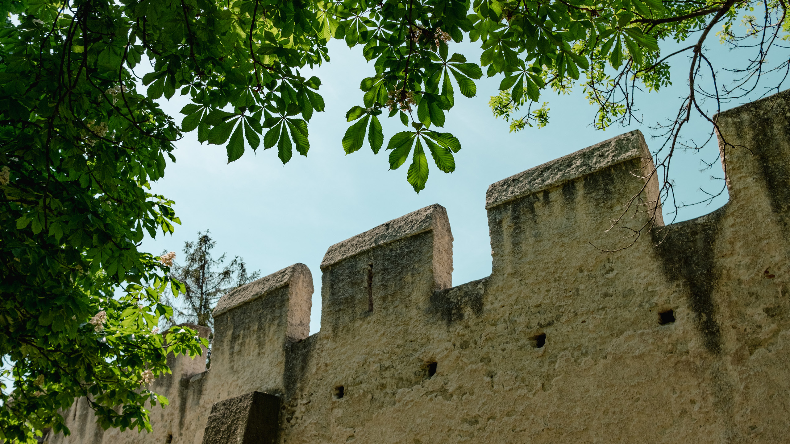 Historische Stadtmauer von Groß-Enzersdorf mit Kastanienblättern im Vordergrund – Symbol für Geschichte und Naturverbundenheit der Stadt.