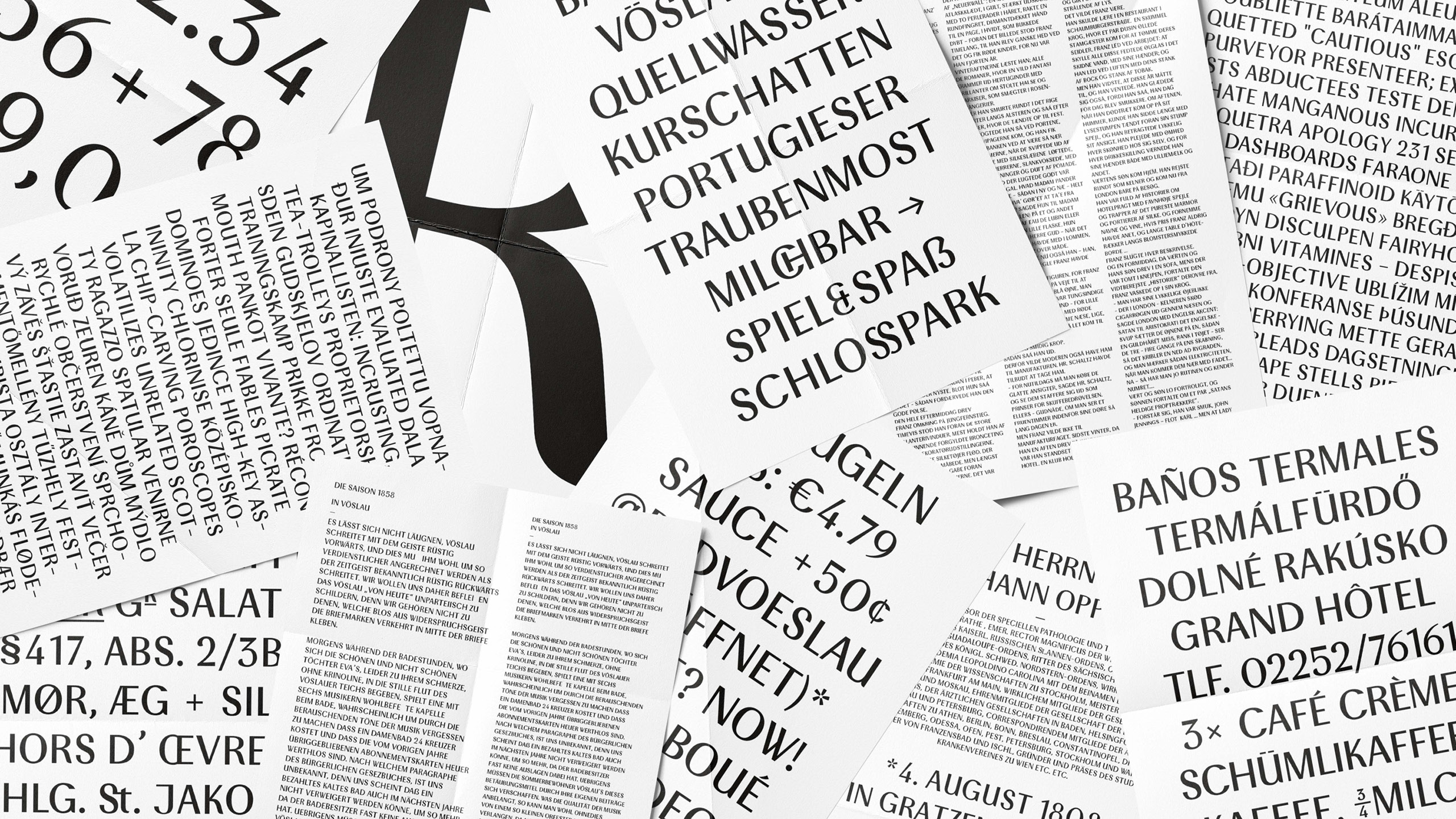 bad_voeslau_typografie_vielfalt.jpg Sammlung typografischer Plakate mit vielfältigen Begriffen in unterschiedlichen Sprachen und Schriften – Darstellung der CI-SChrift von Bad Vöslau.